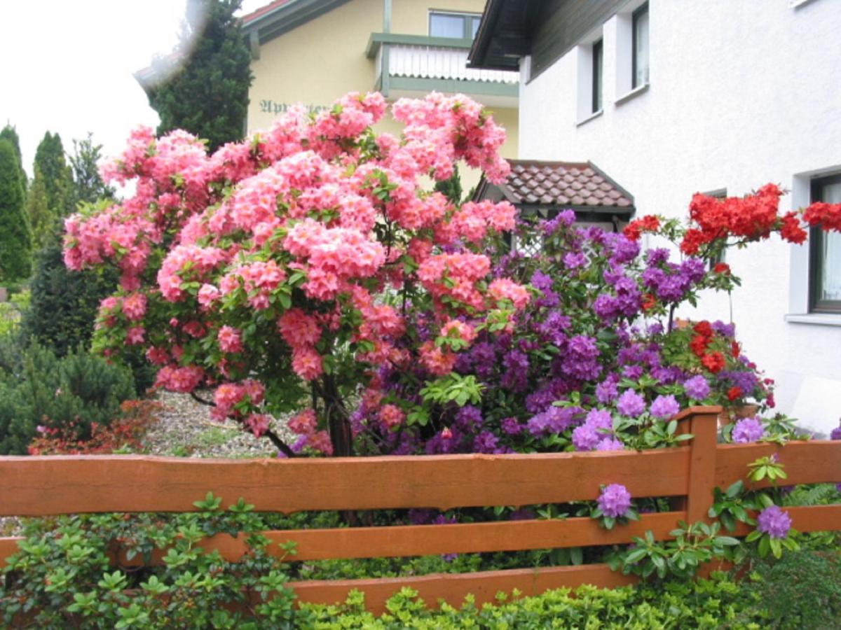 Appartements Gillmeier Herta Bad Griesbach  Buitenkant foto